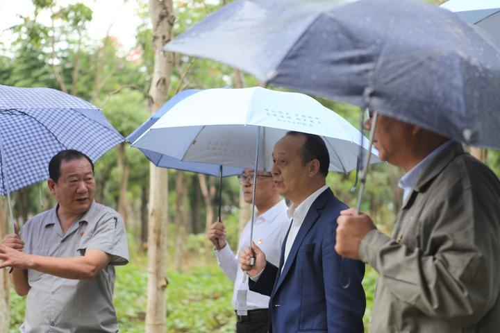 省水利厅厅长点赞八达国际节水型企业_集团动态_新闻中心_八达国际