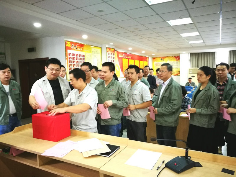 公司党总支召开党员大会选举党代表_集团动态_新闻中心_八达国际