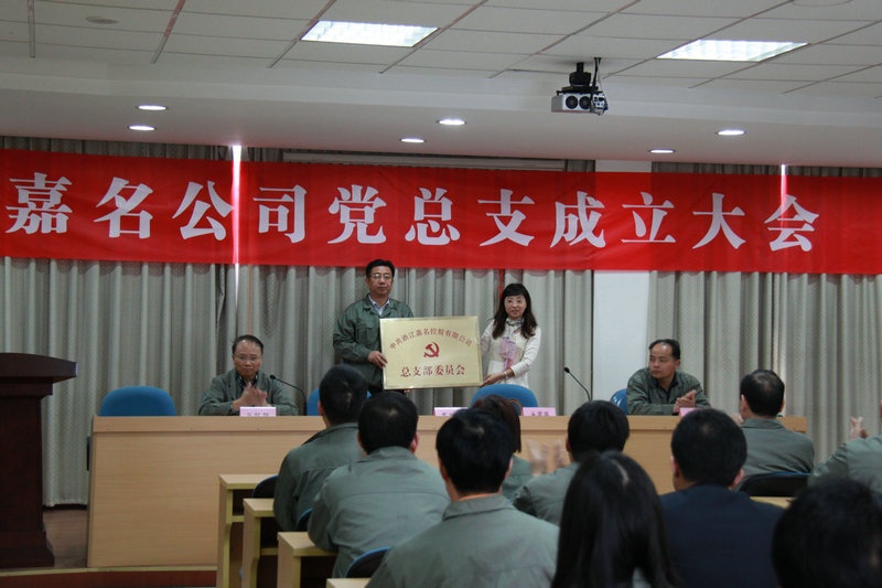 公司召开党总支建设大会_集团动态_新闻中心_八达国际