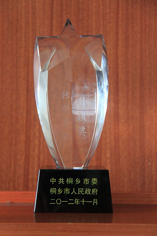 浙江八达国际染整有限公司荣获“转型升级‘引领奖’”_集团动态_新闻中心_八达国际