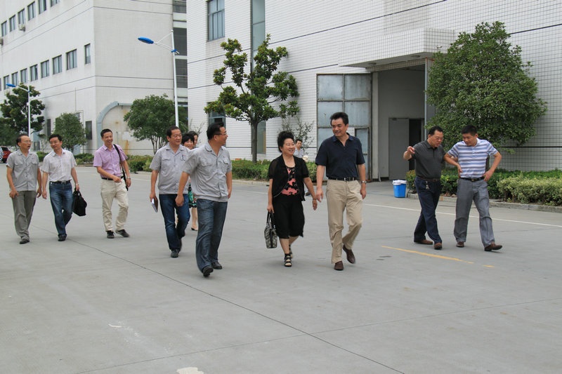 桐乡市委统战部组织莅临公司调研生态建设_集团动态_新闻中心_八达国际