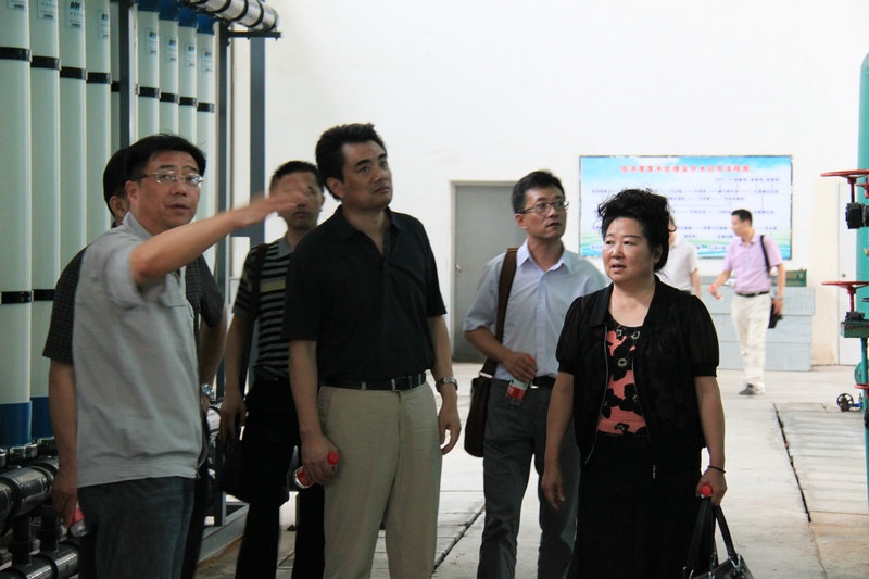 桐乡市委统战部组织莅临公司调研生态建设_集团动态_新闻中心_八达国际